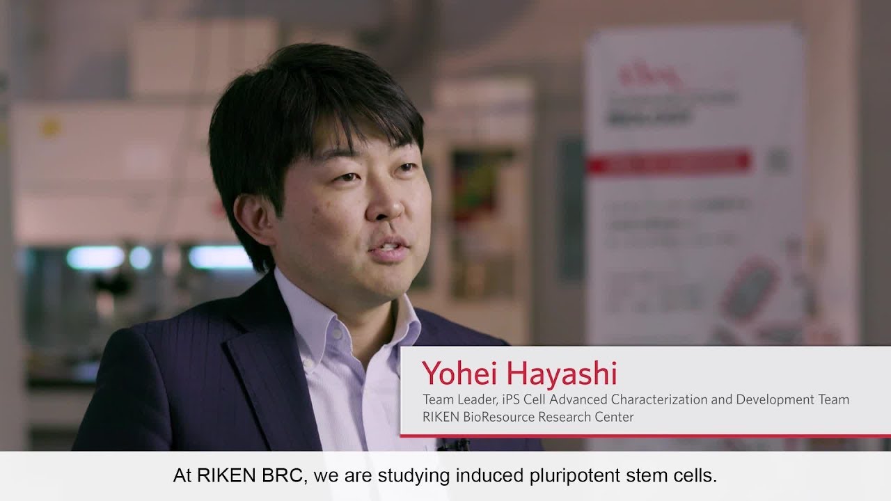 springer books Meet our Authors from Japan – Communications Biology