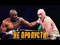 РУБИЛОВО Фьюри vs Уайт и еще 15 КРУТЫХ Боев этой Весны! РАСПИСАНИЕ!