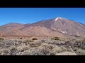 Lew I #WulkanTeide