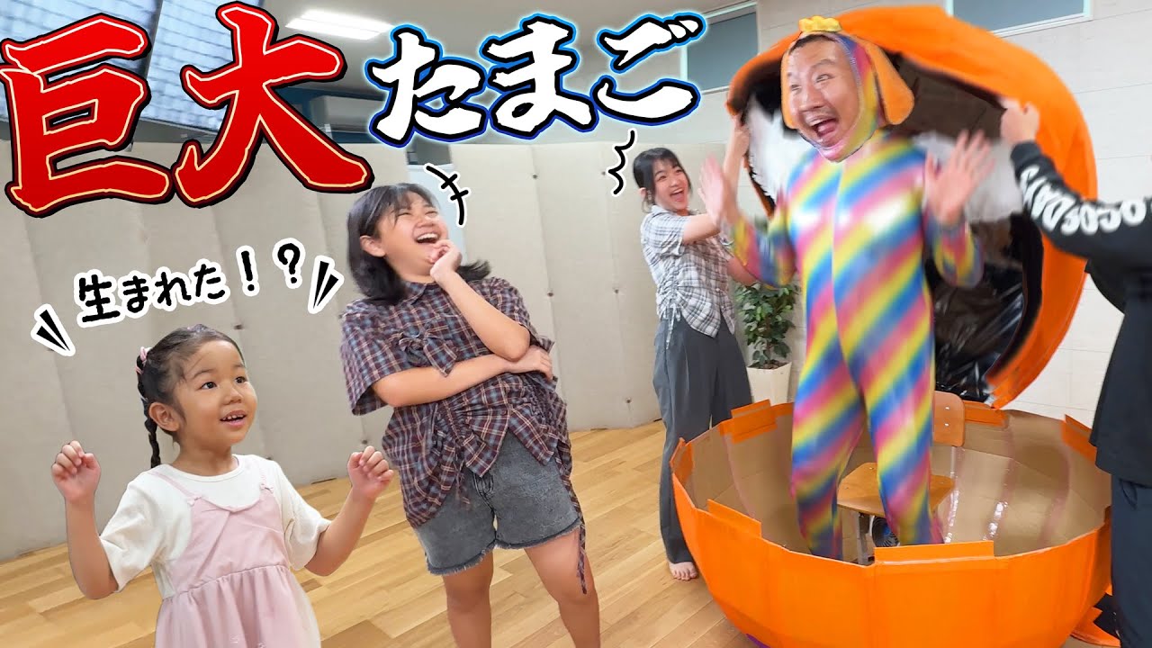 Mi-chan's surprise! A mysterious giant egg was born 😲himawari-CH