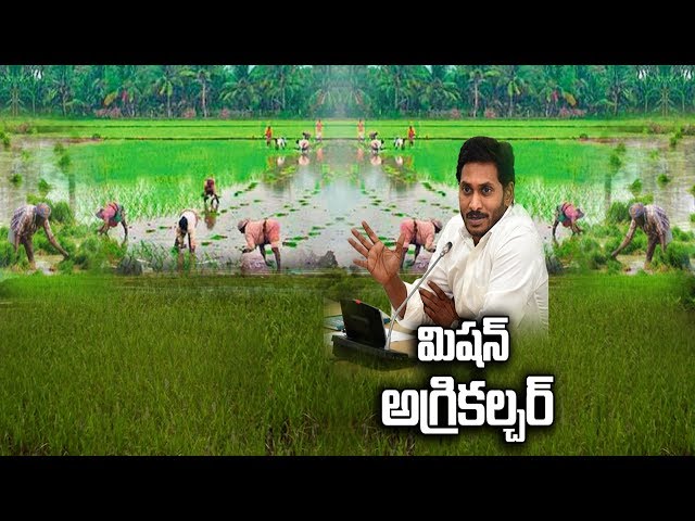 YSRCP Government Issues GO To Release 5000Crores For Rythu Bharosa