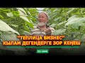 Адыл авабыздан МОШНЫЙ бизнес кеңеш  |  Мындай кеңешти эч ким бере элек