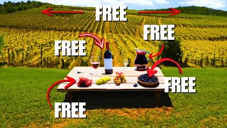 Plant a Vineyard for FREE - The Wine industries BIGGEST SECRET!