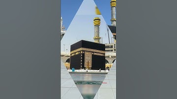 beautiful islamic status #سورة_الإخلاص #ikhlas #beautiful #love #nature