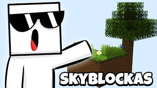 Minecraft Skyblock lietuviškai 1 Dalis