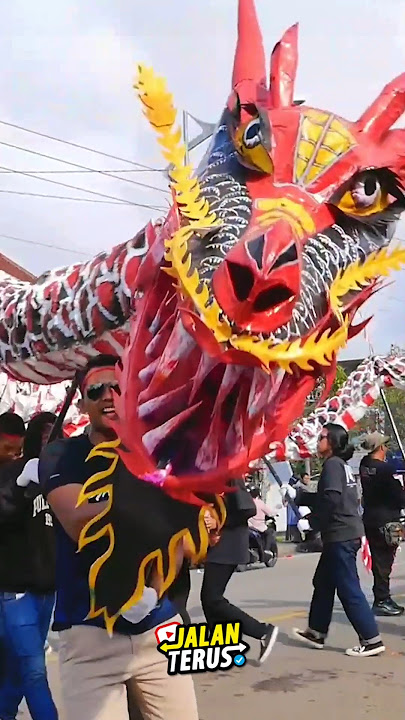 ular naga barongsai terbesar nih teman teman 🙈 #karnaval #naga #barongsai