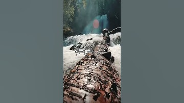 واتس اب قران كريم القارئ شريف مصطفى (سوره الرحمن)