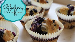 Whole Wheat Blueberry Muffins Recipe Whole Wheat Blueberry Muffins Recipe