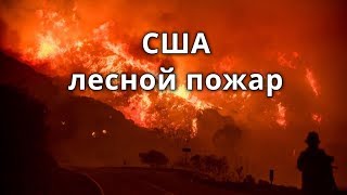 Лесной пожар в США