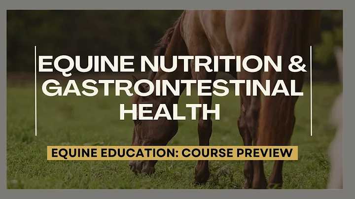 Equine Nutrition & Gastrointestinal Health – Course Overview