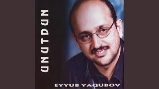 Video thumbnail of "Eyyub Yaqubov - Həsrətinin Yollarındayam"