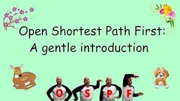 A gentle intro to Open Shortest Path First or OSPF