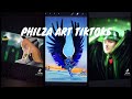 Philza Art Tiktoks