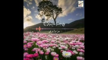 ماتيسر من 《سورة الغاشية》للقارئ هزاع البلوشي