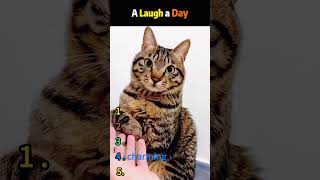 #funnykids #fypviral #viralvideo#christmas#sugaronmytongue