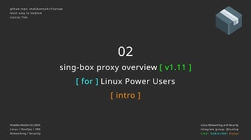 02 sing-box proxy overview - intro