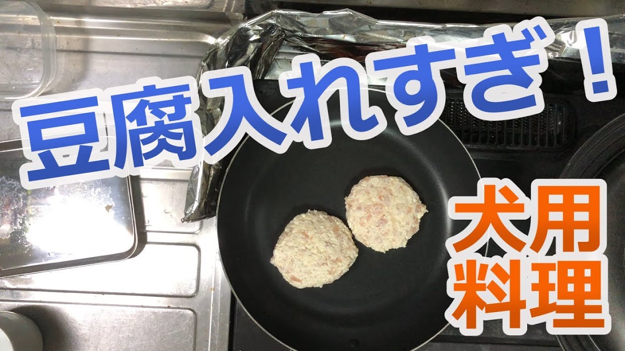 犬の手作りご飯 豆腐鶏ささみハンバーグの作り方犬用料理 トイプードルのオウガ Home Made Dog Food Youtube