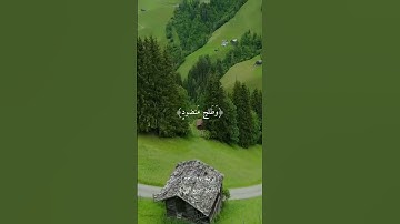 تلاوة عذبة تريح القلوب بصوت وديع اليمني .