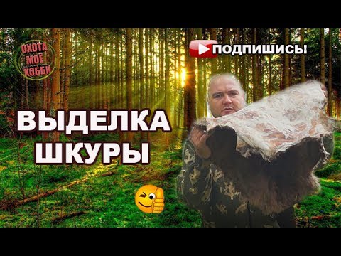 ВЫДЕЛКА ШКУР БОБРА своими руками.