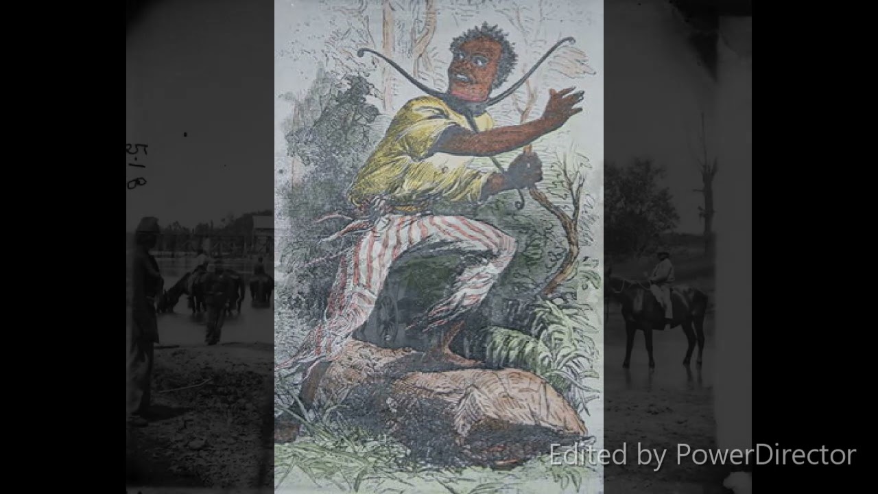 Runaway Slaves, Stars Falling From the Sky, German Immigrants, and