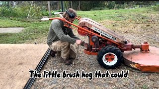 Mowing The Food Forest With Our Gravely Walk Behind Brush Hog