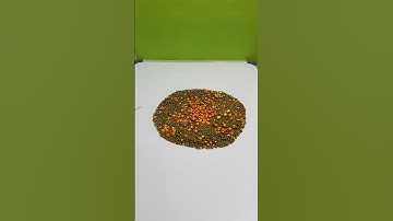 Reverse Magic. #reverse #reversefilming #reversemotion