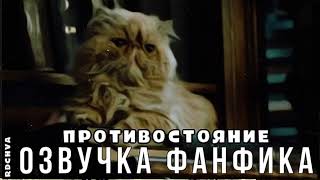 :  \\\\
