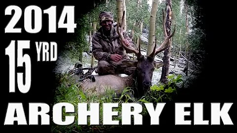 Utah Archery Elk Hunt Success with Austin Taylor