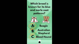 Ultimate Dog Quiz - Can you match the breed to their traits? by Animal Life 9 views 1 month ago 16 seconds