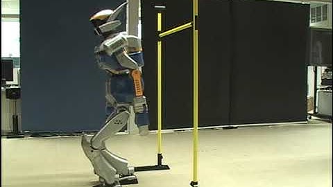 Motion Planning for Dynamically Walking Humanoid Robots (2007)