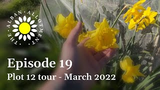 Plot 12 tour - March 2022 | More major changes at the allotment! #19