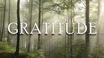 Peaceful Music for Reflection & Relaxation | Nature Ambience Video