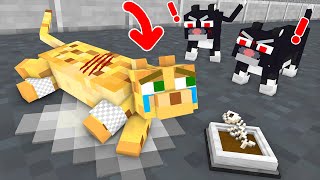 Monster School : Poor Cat Can't Walk - Sad Story - Minecraft Animation