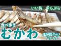 【むかわの旅】ししゃも・ニラ・穂別メロンと海山の幸がいっぱいのむかわ町