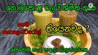 ගොටුකොළ කැඳ වල ඇති විශ්මිත ගුණ | The amazing properties of Gotu Kola porridge | හෙළ ඔසු |