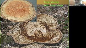 Introduction to Dendrochronology 1/2 - Otto Cichocki