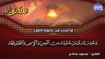 جديد المجد || ما تيسر من سورة " النمل " || القارئ : محمود هاشم || من مختارات المجد HD