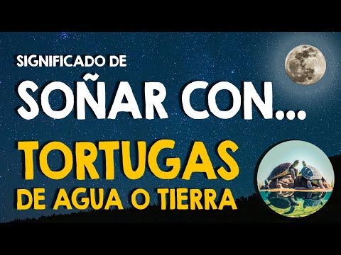 ¿Qué significa soñar con tortugas de agua o de tierra? 🐢 Soñar con tortugas terrestres y acuáticas 🐢