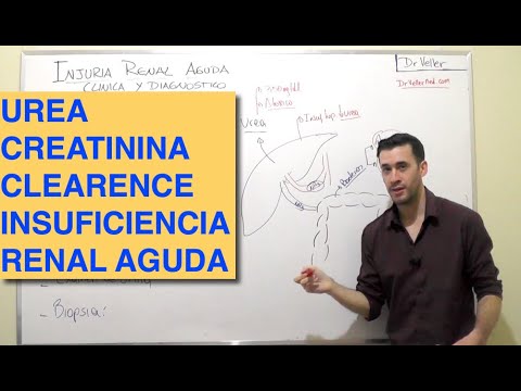 Video: Insuficiencia Hepática Aguda, Insuficiencia Renal Aguda, Urea En Sangre, Proteína Renal, Orina Rica En Proteínas