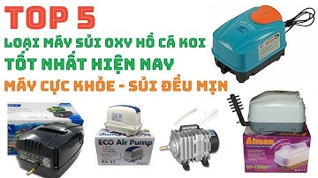 Top 5 Loại Máy Sủi Oxy Hồ Cá Koi Được Ưa Chuộng Nhất Hiện Nay #maysuioxyhokoi #mayoxyhocakoi #hokoi