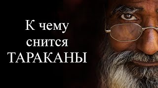 К чему снятся ТАРАКАНЫ? Сонник. Бесплатное толкование снов онлайн К чему снятся ТАРАКАНЫ? Сонник. Бесплатное толкование снов онлайн