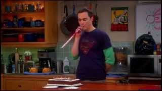 The Big Bang Theory 6x21  The Closure Alternative