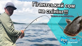 Гігантський сом на спінінг