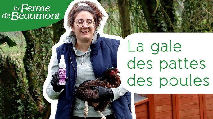 Spray Anti-gale Belles Pattes pour poules et volailles