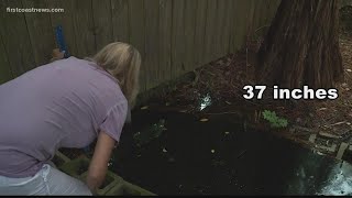 Poor drainage leaves Fleming Island community frustrated with flooded  properties