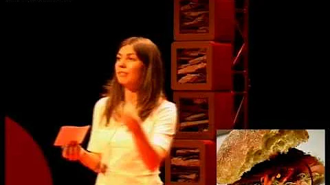 Aesthetics of Sustainable Food: Barbara Putman Cra...