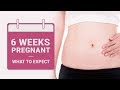 6 Week Pregnant -  What to Expect?