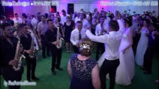 Puiu Codreanu si Petrica Nicoara | Live |
