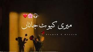 Meri Cute Jana = Asghar Khoso And Ft Brohi - Slowed And Reverb Song