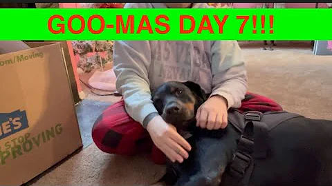 GOO-MAS DAY 7 DOGGO ADVENT CALENDAR!!!